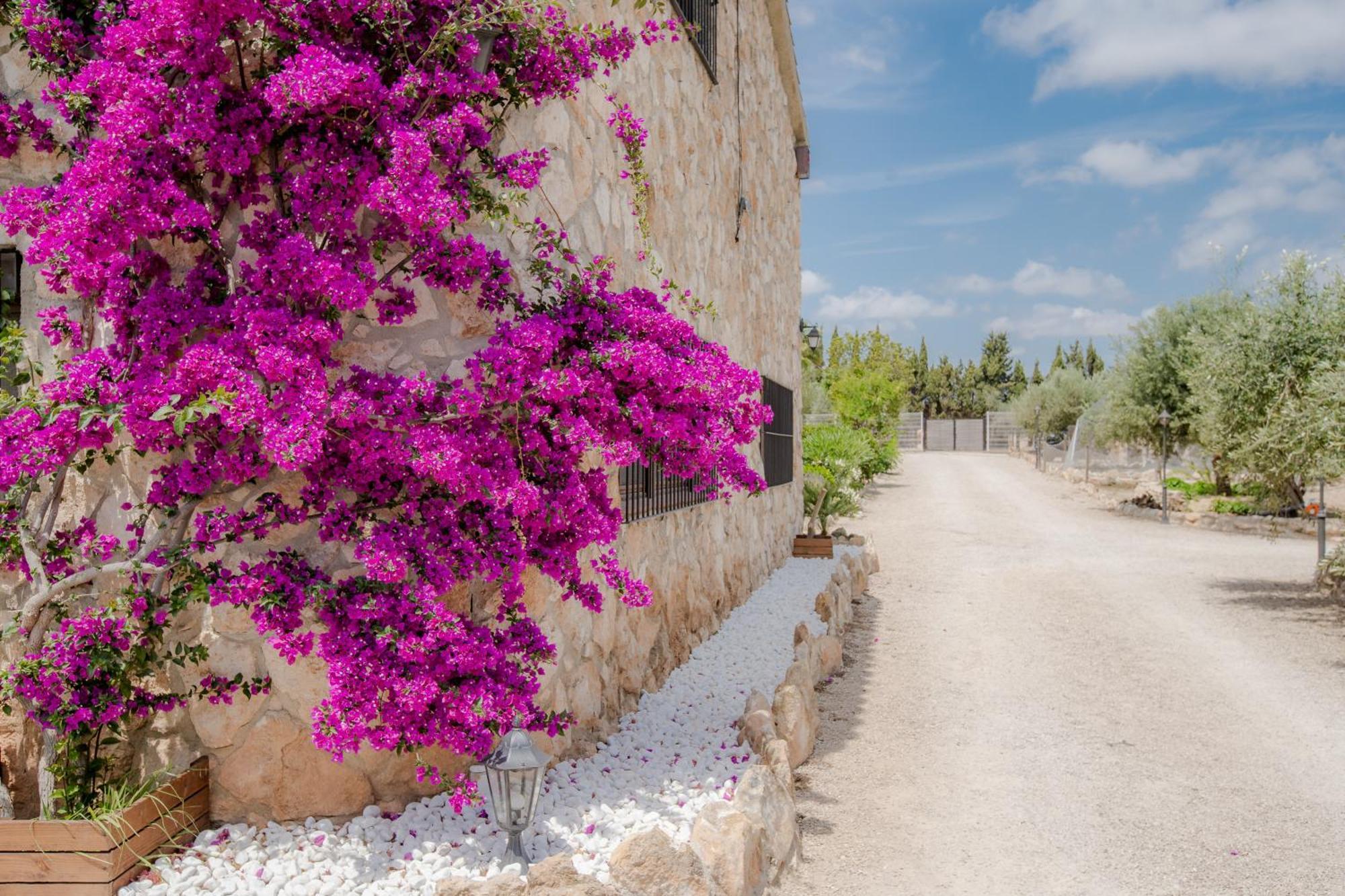 Villa Rural Avril Camarles エクステリア 写真