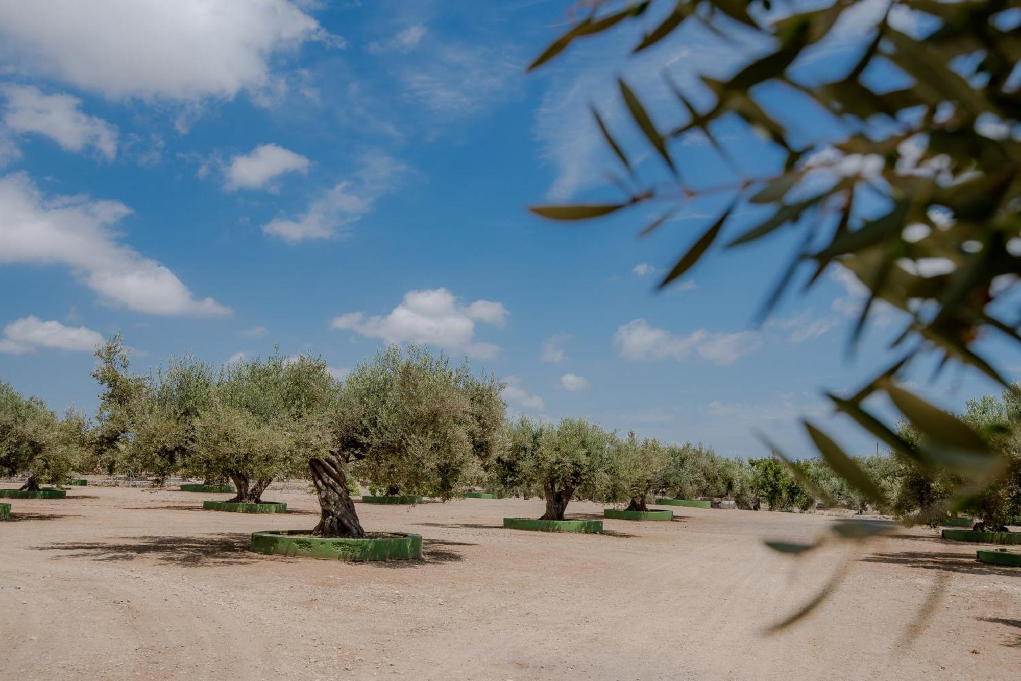 Villa Rural Avril Camarles エクステリア 写真