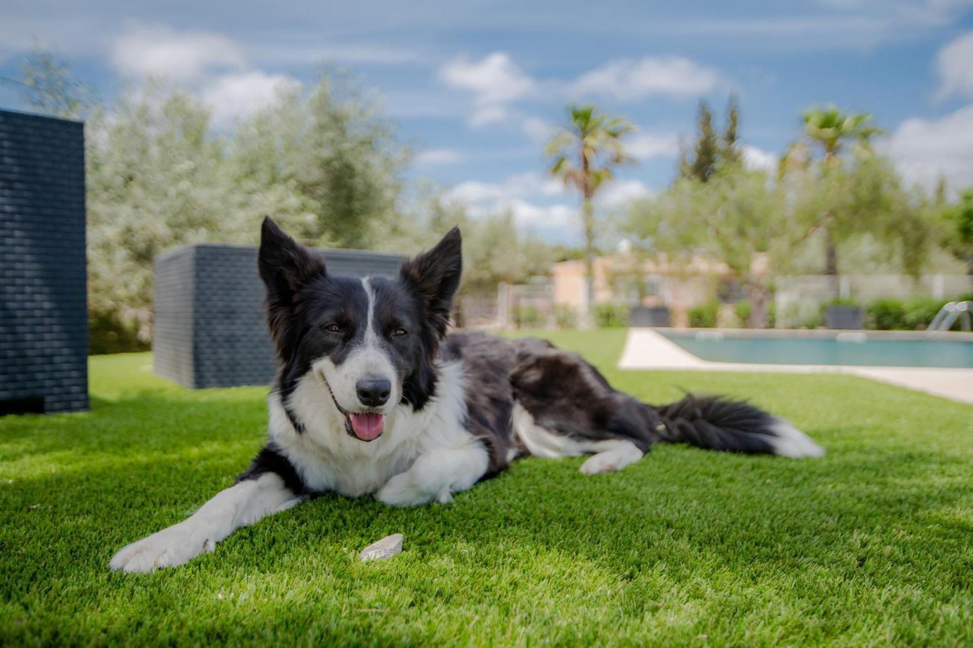 Villa Rural Avril Camarles エクステリア 写真