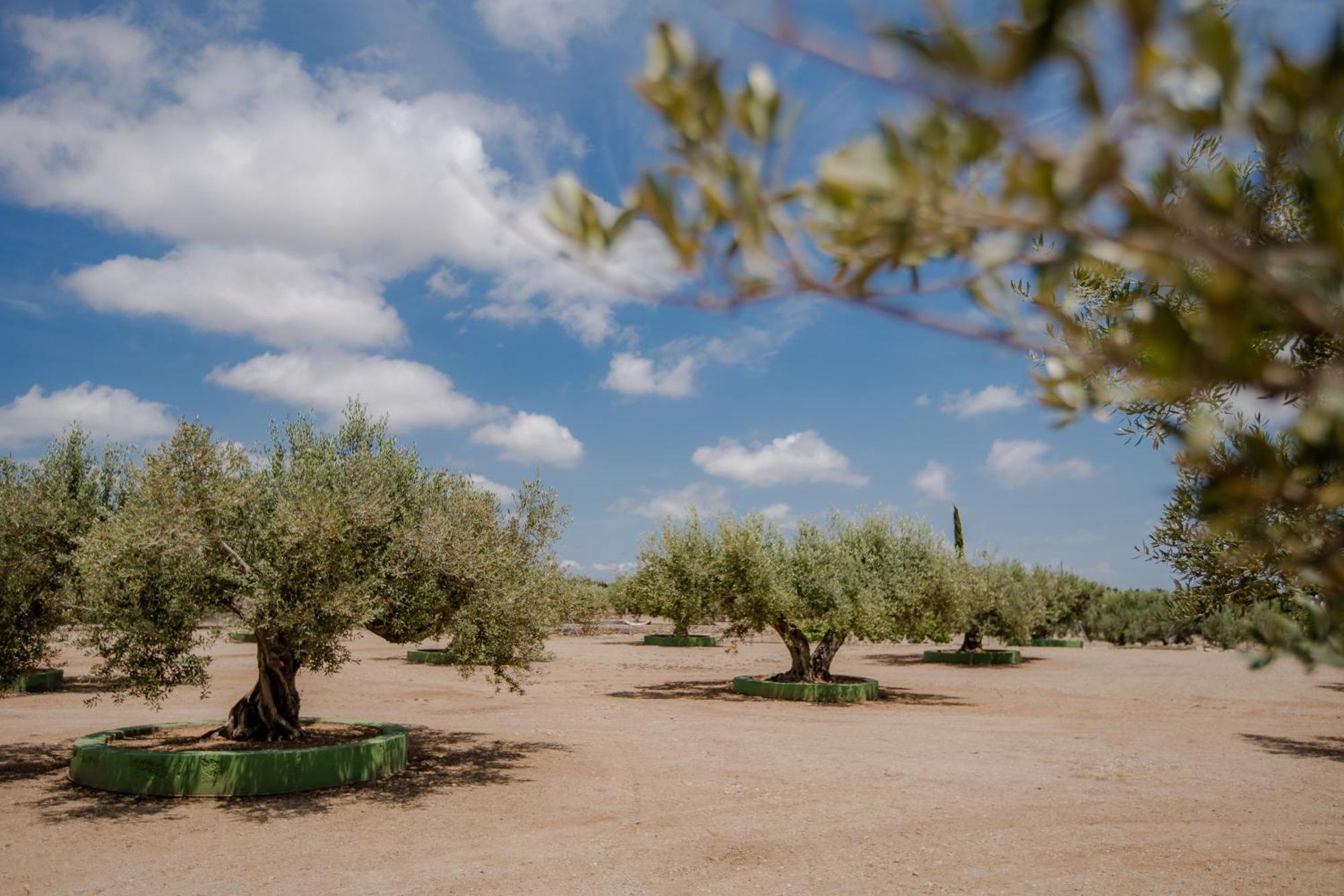 Villa Rural Avril Camarles エクステリア 写真